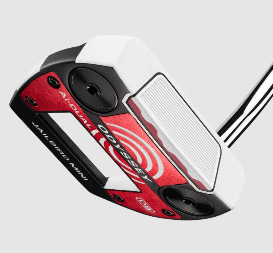 AI DUAL 26 Putter